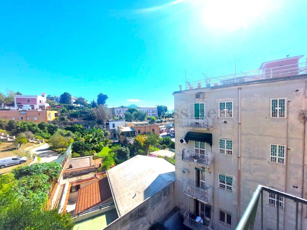 vista (2)