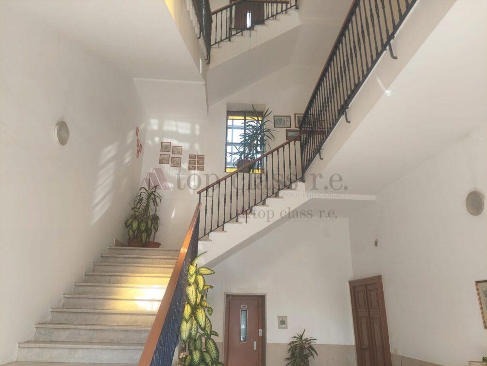 Palazzo