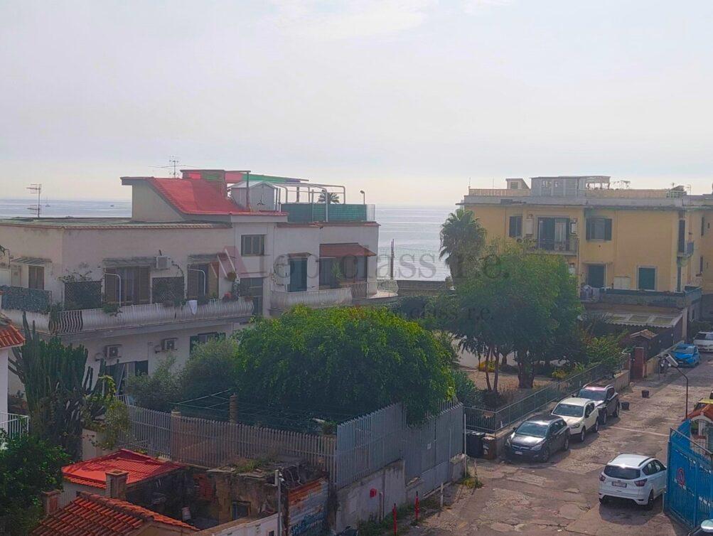 Vista (3)