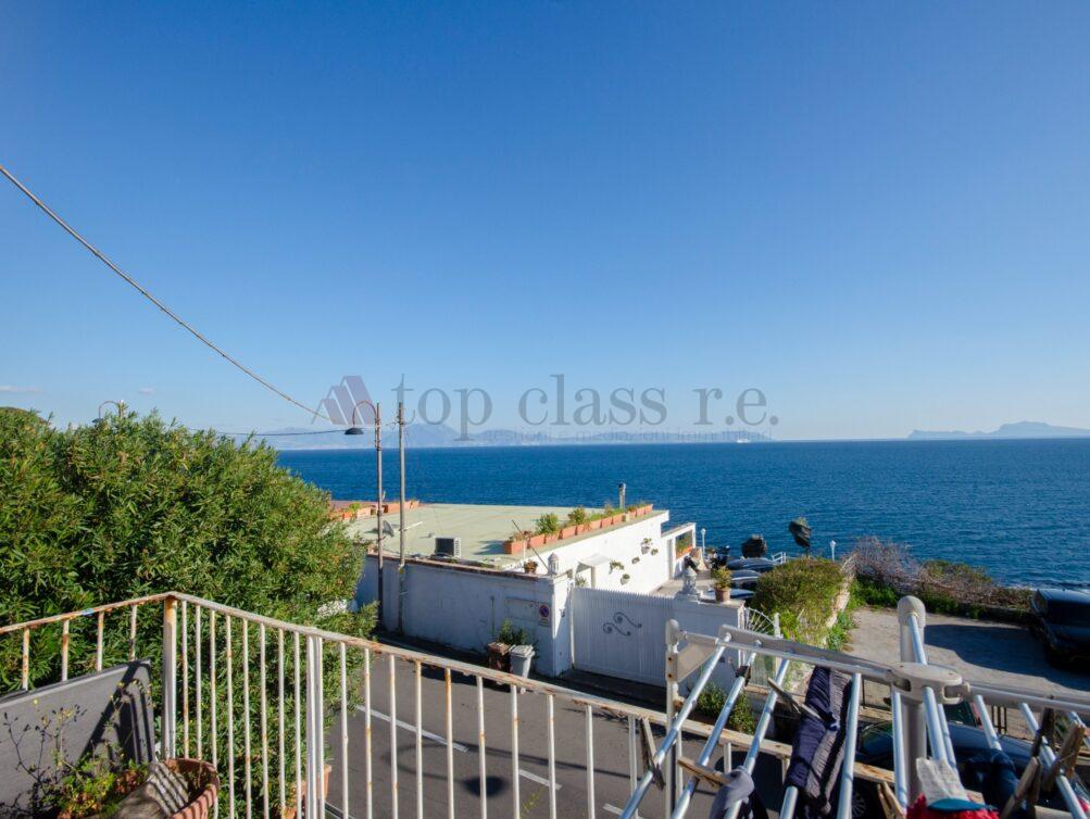 Vista (5)
