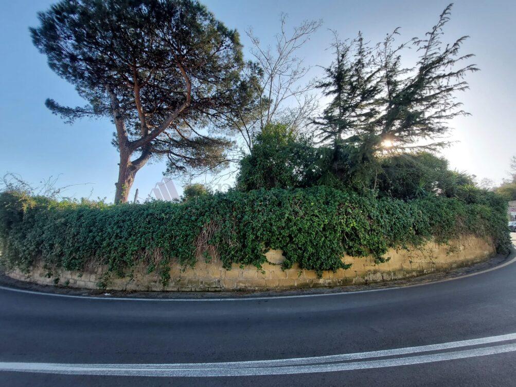 Vista (7)