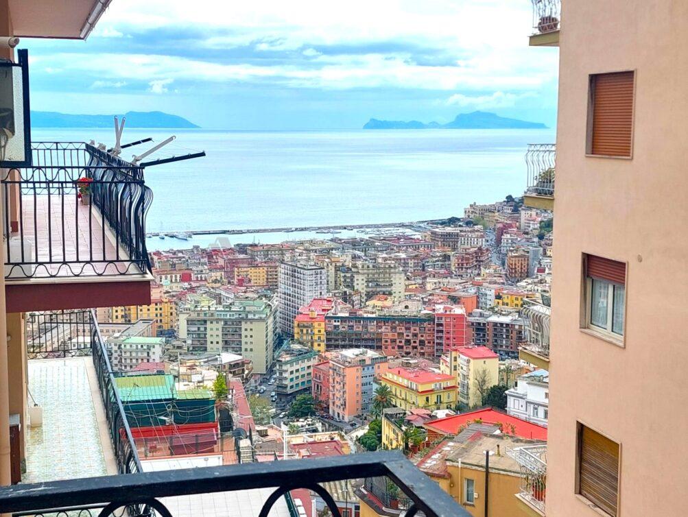 Vista (7)
