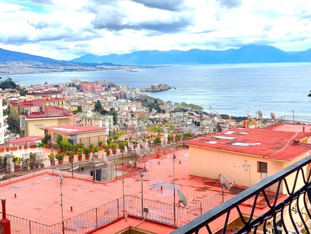 Vista (8)