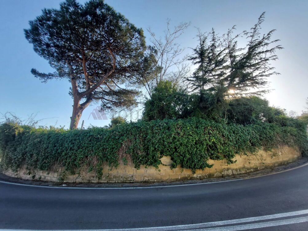 Vista (9)