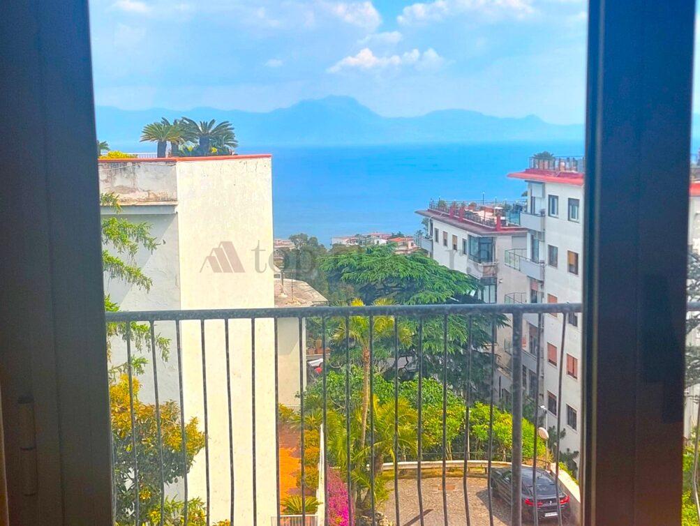 Vista
