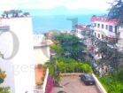 Vista (8)